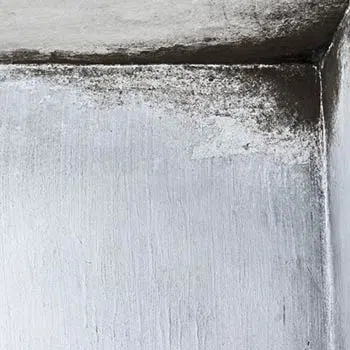 North Palm Beach Restoration Company North Palm Beach, FL 561-354-9986