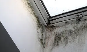 North Palm Beach Restoration Company North Palm Beach, FL 561-354-9986