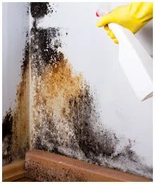 North Palm Beach Restoration Company North Palm Beach, FL 561-354-9986