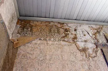 North Palm Beach Restoration Company North Palm Beach, FL 561-354-9986 North Palm Beach Restoration Company North Palm Beach, FL 561-354-9986